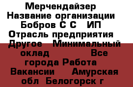 Мерчендайзер › Название организации ­ Бобров С.С., ИП › Отрасль предприятия ­ Другое › Минимальный оклад ­ 17 000 - Все города Работа » Вакансии   . Амурская обл.,Белогорск г.